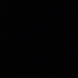 Meet your Posher, Daisy